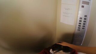 Picture of Miyuki Arisaka - A Beautiful Y********l Gets Ruthlessly Ravaged In A Locked Room - Her Devious Assailant Shows No Mercy!