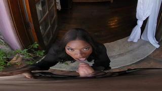 Picture of Dare To Be Wild